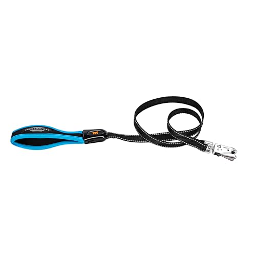 Ferplast ERGOFLUO G Dog Lead - MATIC Automatic Closure Technology - Soft Padding - Reflective & Anti-Abrasion - Extra-Resistant Seams - Italian Design - 120 x 1.5 cm, Blue