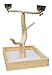 Birds LOVE Tabletop T-Stand Deluxe Play Gym Bird Stand for Cockatiels Conures African Greys Amazons-Includes 2 top perches Easy Assembly Easy to Clean 19″ H x 16″ L x 13.25″ Dthumb 1