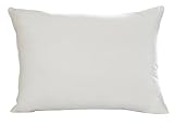 Aller-Ease Hot Water Washable Allergy Pillow,Queen, Firm