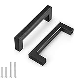 Probrico 10 Pack Black Stainless Steel Square