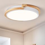 Peblto Modern LED Ceiling Light, Round Shape Flush