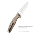 CIVIVI Knives Wyvern Pocket Knife, Lightweight Flipper Folding Knife with 3.45” Satin D2 Blade,FR Nylon Handle, Titanium Pocket Clip Good for Hiking Camping Hunting C902C (Tan)