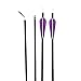 IRQ 6 Pack 32 Inch Carbon Hunting Arrows Archery Target Practice Arrows for Recurve and Compound Bow 350 Spine with Replaceable Tips