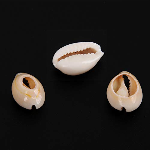 YUEAON 100pcs Natural Spiral Shell Beads Sea Shells Beach Seashells Cowrie Shells Charms and Beads for DIY Craft Jewelry Making Accessories (16~18mm)