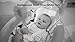Fisher-Price Revolve Baby Swing - Replacement Waist Strap - White FBL70