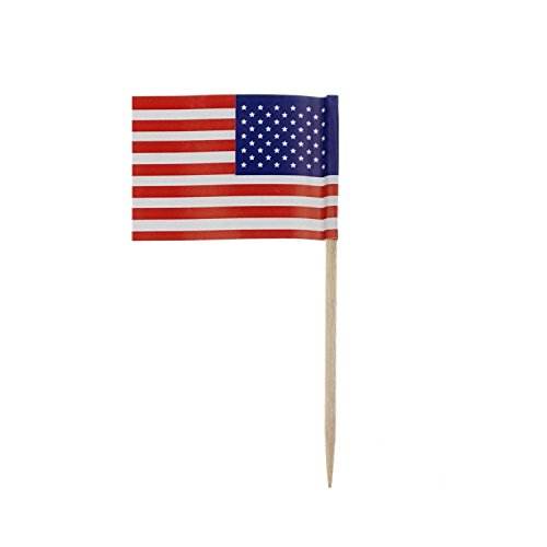 American Flag picks, 100 counts Toothpick Flags for Party Decorations, School Events, Independence Day,Cupcake Toppers Picks Decoration (US Flag Picks)