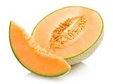 CANTALOUPE LARGE FRESH PRODUCE FRUIT MELONS EACH