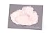 Luxye Thank You Greeting Cards Bulk 36 Assorted Thick Cards & Envelopes - 6 Flower Floral Designs - Baby & Bridal Showers, Weddings, Anniversaries, Business & More - (Multi Floral)