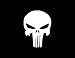 NI2603 Pack Punisher Skull Car Window Vinyl Decal Sticker | 4