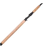 Amazon.com : Lamiglas Big Fish Conventional Rod with Roller