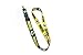 Aminco NFL Green Bay Packers Reversible Lanyard, Team Colors, one Size (NFL-LN-162-19)