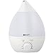 ASOM Ultrasonic Cool Mist Humidifier And Aroma Oil Diffuser, White