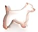 West Highland White Terrier Dog Cookie Cutter