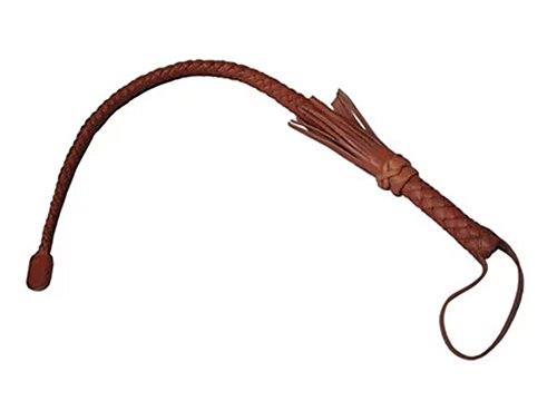 PANDA SUPERSTORE Intrepid International Riding Crop/Horse Whips, Brown