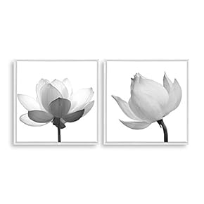 2 Piece Framed Home Artwork Transparent Flower for...
