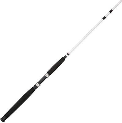 Berkley big game spinning fishing rod Clearance