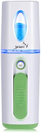 Yayaxi Mini Promote Facial Sprayer Cool Mist Moisturizing Water Meter Hydrating Skin Care Home Spa System Rechargeble Sprayer Green