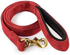 PetWale Dog Leash with Padded Handle for Walking Running Training, Comfortable Heavy Duty (Red, L: 5 feet, W: 0.98")