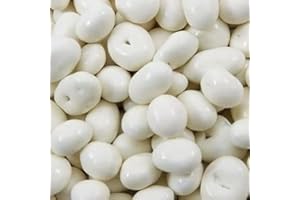 Bayside Candy Yogurt Covered Raisins | Yogurt Raisins | Yogurt Coated Raisins (1LB)
