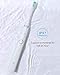 HOMEVER Electric Toothbrush, Sonic Electric Toothbrush, Portable USB Rechargeable Electric Toothbrush, 3 Replaceable Dupont Brush Heads, Teeth Whitening, 5 Cleaning Modes and Inductive Charging