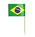 AKOAK Handmade 2.5 Inches National Flag Toothpicks for Cocktail Sticks Sandwich Fruit Cupcake Toppers, Cocktail Picks Party Supplies,100 Count (Brazil)