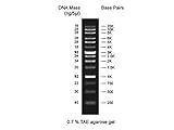 Gel - Discover DNA Ladder- 250-25-000bp