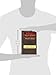 The Message of Salvation: By God's Grace, for God's Glory (The Bible Speaks Today Bible Themes Series)