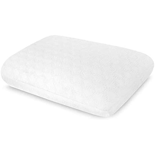 therapedic memory foam pillow