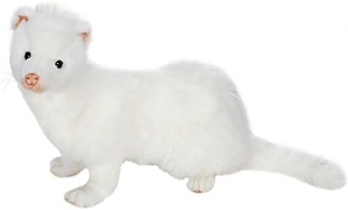 all white ferret