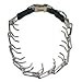 Herm Sprenger Stainless Steel Prong Buckle Collar small 2.25 mm x 18" (50037)