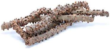ShubhBhakti Gulvel - Tinospora cordifolia -50 Gram