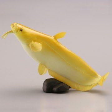 Capsule Q Museum Japanese animal collection 5 Biwako / Mother Kodaiebisu [036b. Benten catfish [Iwatokonamazu yellowing type]] (single)
