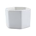 T4U 2.75 Inch White Ceramic Pots Hexagon Succulent Cactus Planter with Free Bamboo Tray for Home Decoration