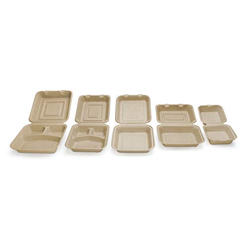 100 Compostable Disposable Food Containers with Lids [9”X6” 500 Pack