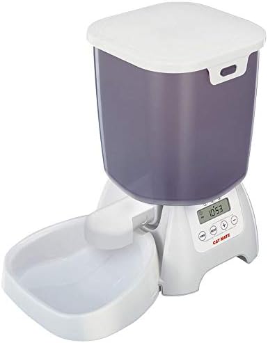 patterdale terrier puppies for sale near me