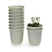T4U 3 Inch Plastic Round Plant Pot/Cactus Flower Pot/Container Grey Set of 10,Seeding Nursery Planter Pot with Drainage for Flowers Herbs African Violets Succulents Orchid Cactus Indoor Outdoor primary