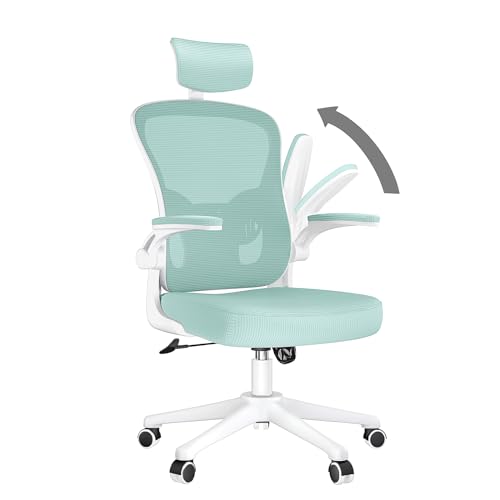 naspaluro Bürostuhl mit Atmungsaktiver Netzbespannung, Ergonomischer Schreibtischstuhl mit Verstellbarer Armlehnen, Kopfstütze, Lordosenstütze, Rücken