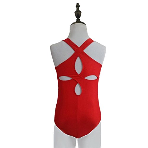 Rucan Toddler Baby Girls Leotards Ballet Playsuit Dancewear Gymnastics Classic Outfits (D, 18-24 Months)