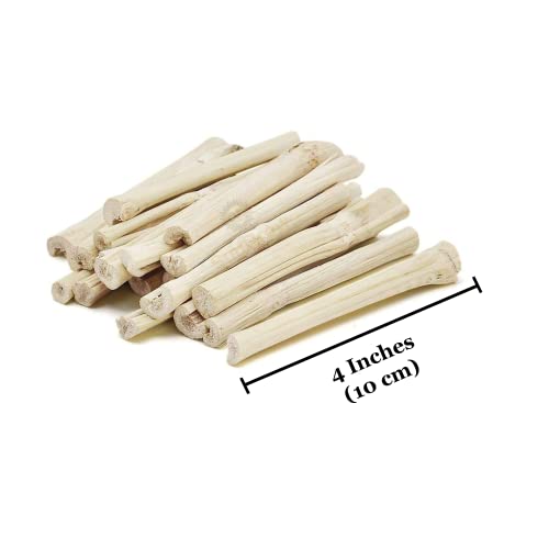 SunGrow Sweet Bamboo Chew Sticks for Rabbits, 100g (3.5 oz) Bunny Molar