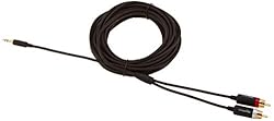 Amazon Basics 3.5mm to 2-Male RCA Adapter Audio