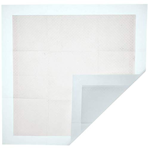 Ruiqas Pet Puppy Training Pads Thickened Piddle Absorbent Leak-Proof Urine Holder - 100Count - Thumbnail 3