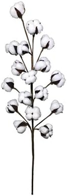 Cotton Floral 32” long stems 3 each