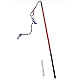 tetherball pole for dogs
