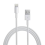 Apple Lightning to USB Cable