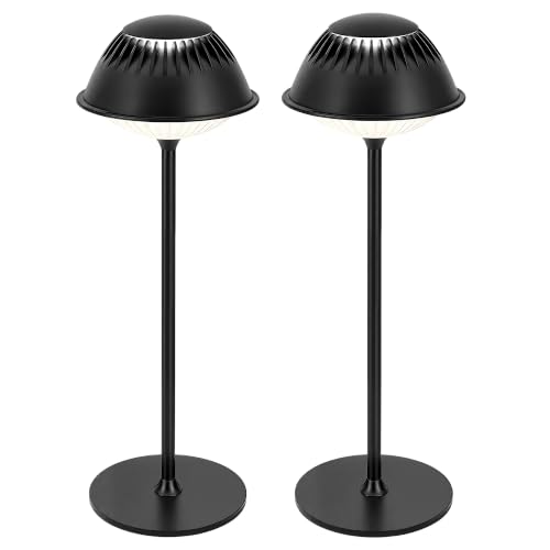 LuminexDesigns LED Modern Rechargeable Table Lamp, Black VIOA TL14