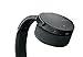 Sony XB950N1 Extra Bass Wireless Noise Canceling Headphones, Black