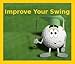 Swing Box Indoor/Outdoor Golf Practice Net