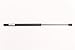 UnderCover RSIH1212GS Standard Pneumatic Strut