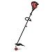 Troy-Bilt TB575 EC 29cc 4-Cycle 17-Inch Straight Shaft Trimmer primary