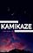 Livro Kamikaze